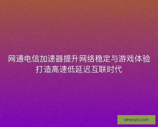 网通电信加速器提升网络稳定与游戏体验打造高速低延迟互联时代