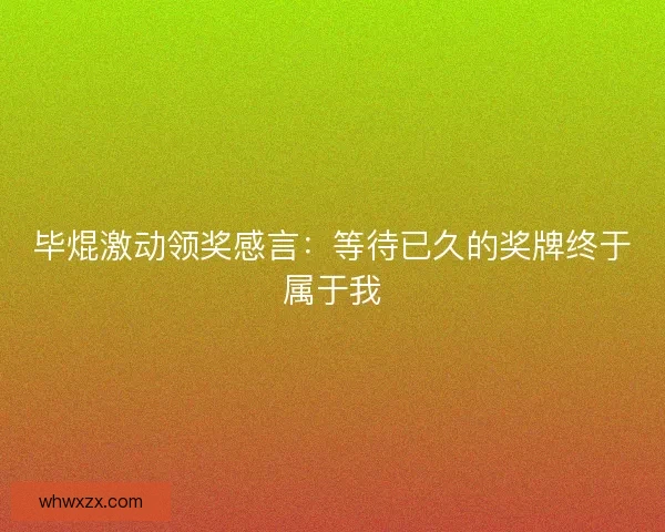 毕焜激动领奖感言：等待已久的奖牌终于属于我