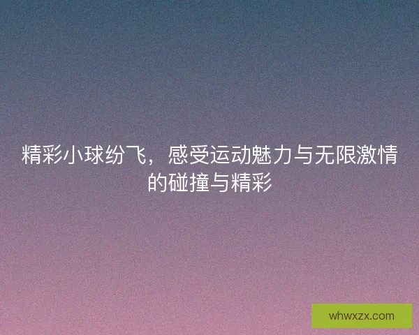 精彩小球纷飞，感受运动魅力与无限激情的碰撞与精彩